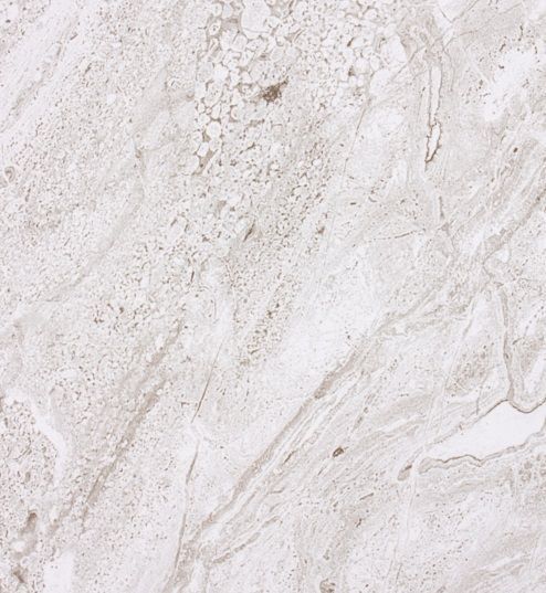 Клеенка на нетк.основе "Mirror" DL-010A Травертин (1,40х20м)