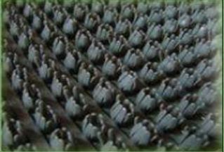 Коврик травка 60х45см серый