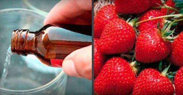 Нашатырный спирт 1л (15 шт.)