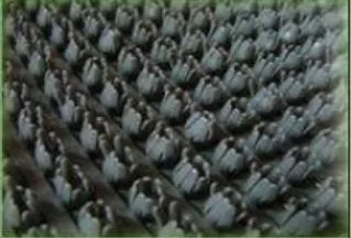 Коврик травка 60х45см серый