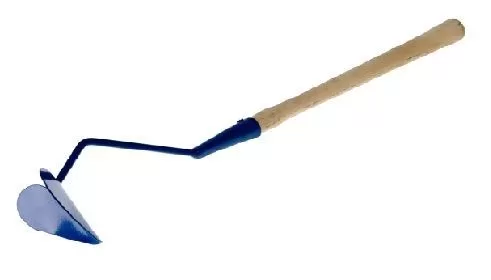 Бороздовичек малый с черенком (упак.5шт.)