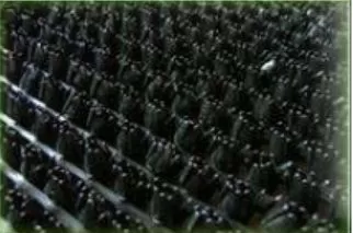 Коврик травка 60х90 черный